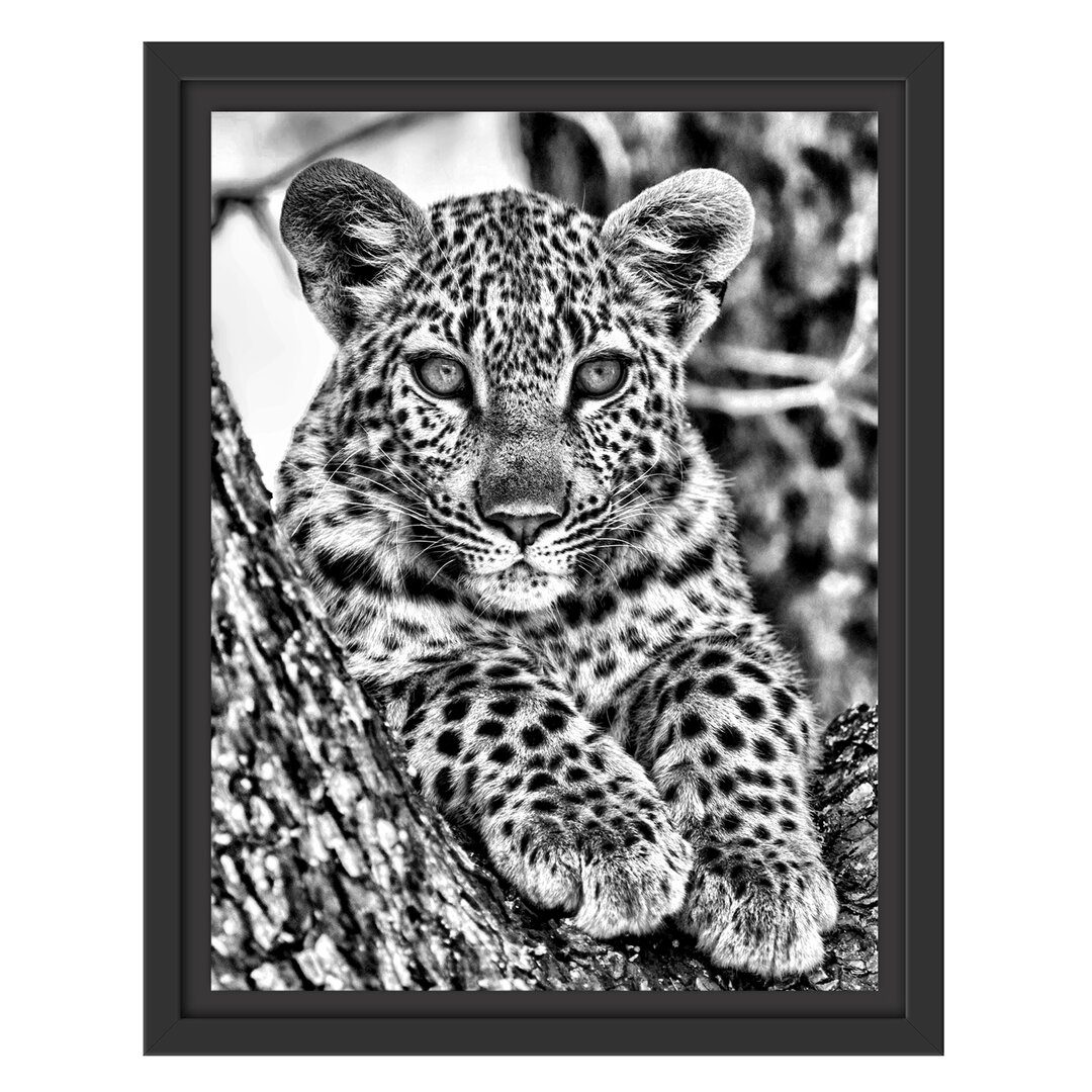 Gerahmtes Wandbild Leopardenbaby