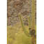 Buckeye, Arizona 3 Print by August Studios
