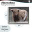 Cadre flottant Wandering Harry Highland, conception par Marcus Prime-516402333-516402332