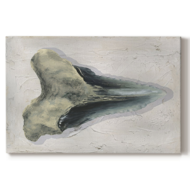 Aquarelle Sharks Tooth III -Galerie enveloppée Cavas, 8 x 12