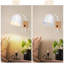 Arloine Iron Armed Sconce-702648353