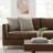Explorer Havana Feather Reversible Throw Pillow-100846066-100846067