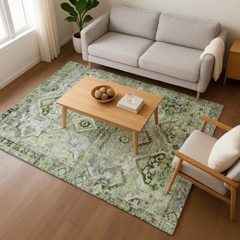 Premium Machine Washable Varasteh AMF1664 Global Rug, Rectangle 9' x 12'