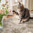 Geometric Floral Washable Non-Slip Area Rug-1111457698-1111457726