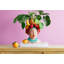 Decorative Vase Fruity