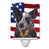 Black Australian Cattle Dog
