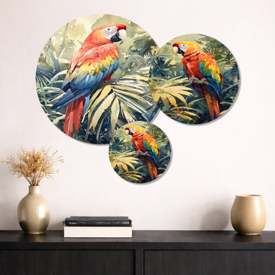 Macaw In The Canopy I - Birds, ensemble de 3 impressions murales en métal