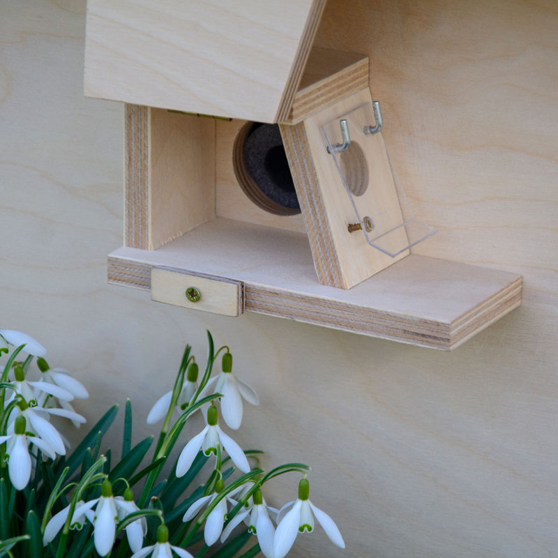 Analena Free Standing Bumblebee House