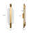 Acari LED Flush Mounted Sconce
