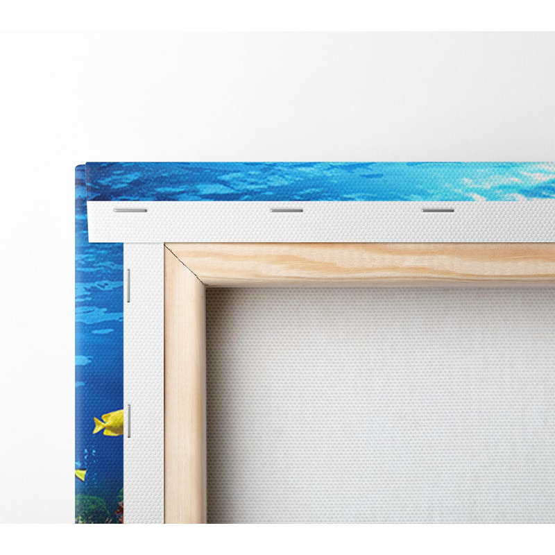 Creatures In The Reef Framed Print, Wrapped Canvas, 66cm H x 106.6cm W x 4.4cm D