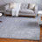 Carlosadrian Oriental Indoor Rug-1325446554