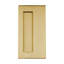 Recessed Push/Pull Plate-109767883