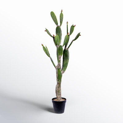 Faux Cactus Succulent in Pot
