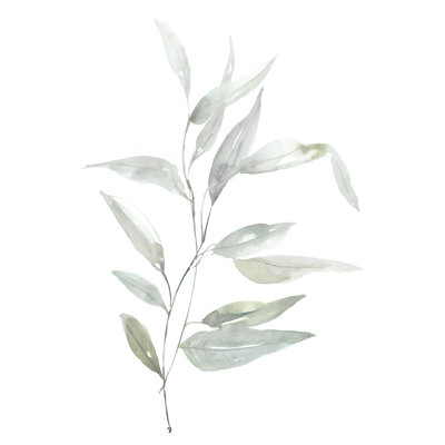 Eucalyptus éthéré II