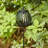 32.25"H Black Metal Stripes Solar Powered Outdoor Lantern