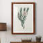 Protea N33 - Peinture encadrée-1258477351-1258477350
