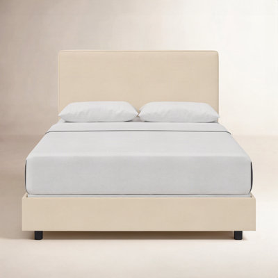 Marquise Cotton Upholstered Bed