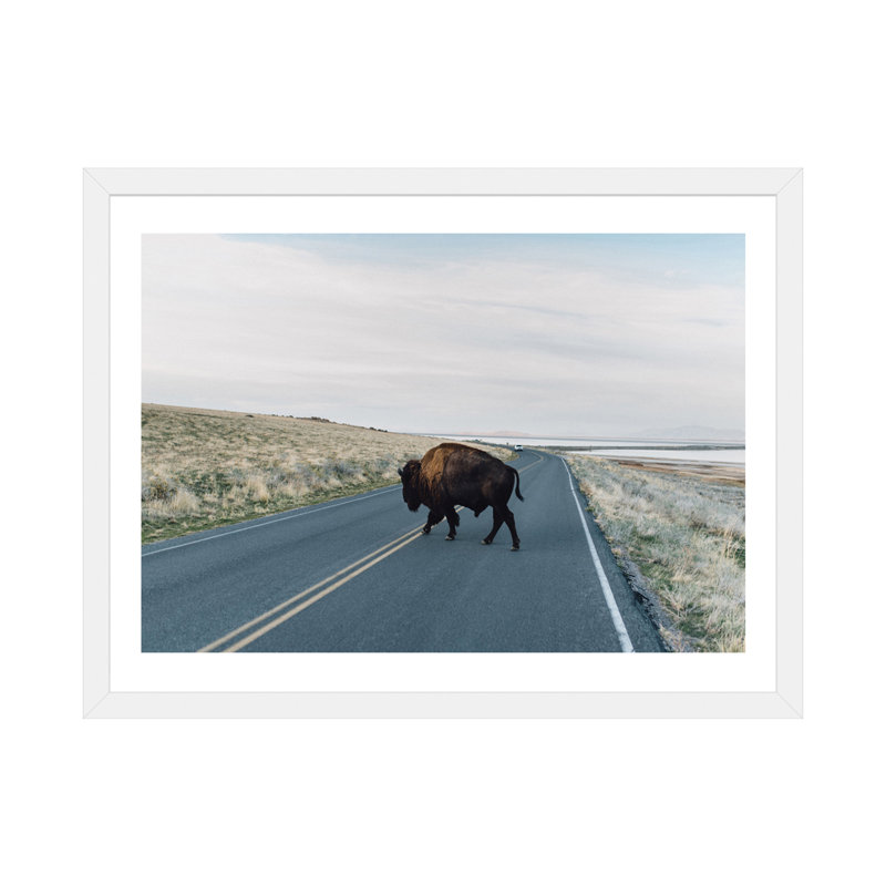 « buffalo bison » par chelsea victoria-impression, H 24 po x l 32 po x P 1 po, Papier avec cadre blanc