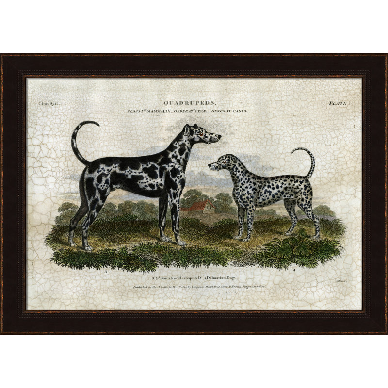 G. Danish And Dalmation Print