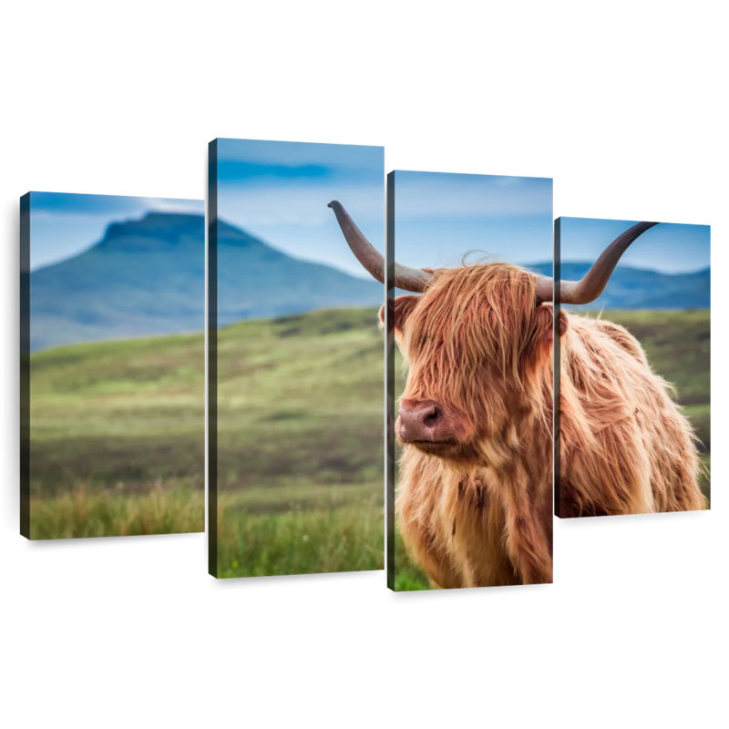 Brampt Furry Highland Cow, 42" H x 68" W