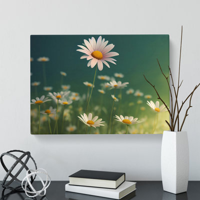 Beauteous Daisy Flowers - Wrapped Canvas