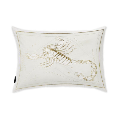Zodiac Rectangular Pillow Cover & Insert