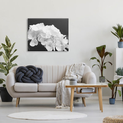 Délicat hortensia blanc, estampe numérique par Lil 'Rue