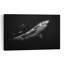 Grand requin blanc, prédateur contemporain, affiche murale représentant la nature et l'océan-1660979880