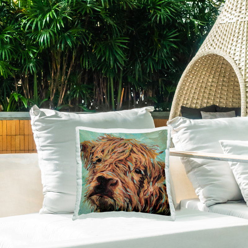 Coussin Highland, Bétail brun