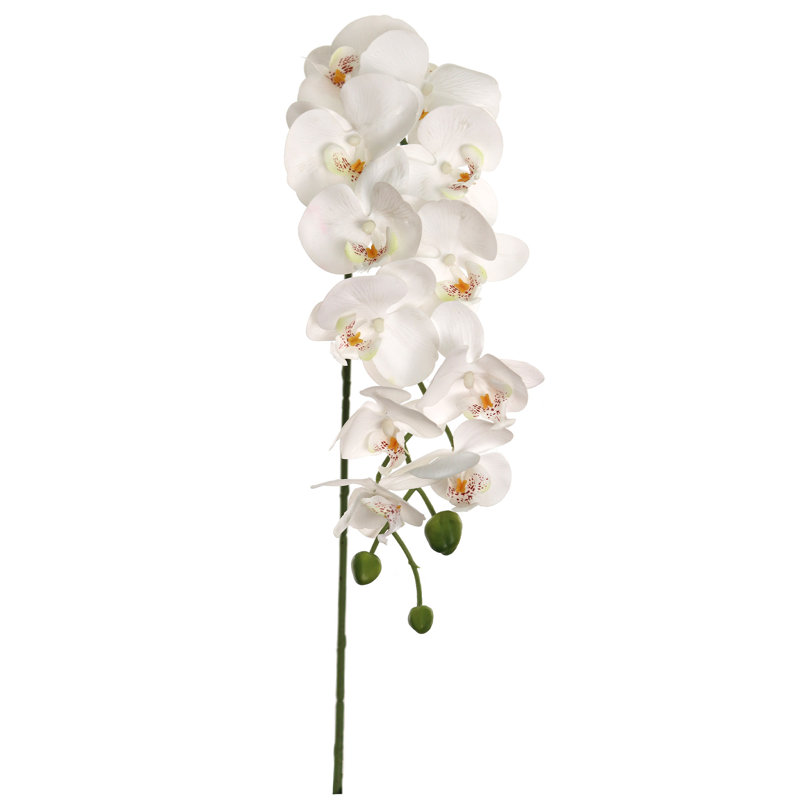 Orchidée phalaenopsis 43 "avec 12 fleurs - blanc (ensemble de 3)