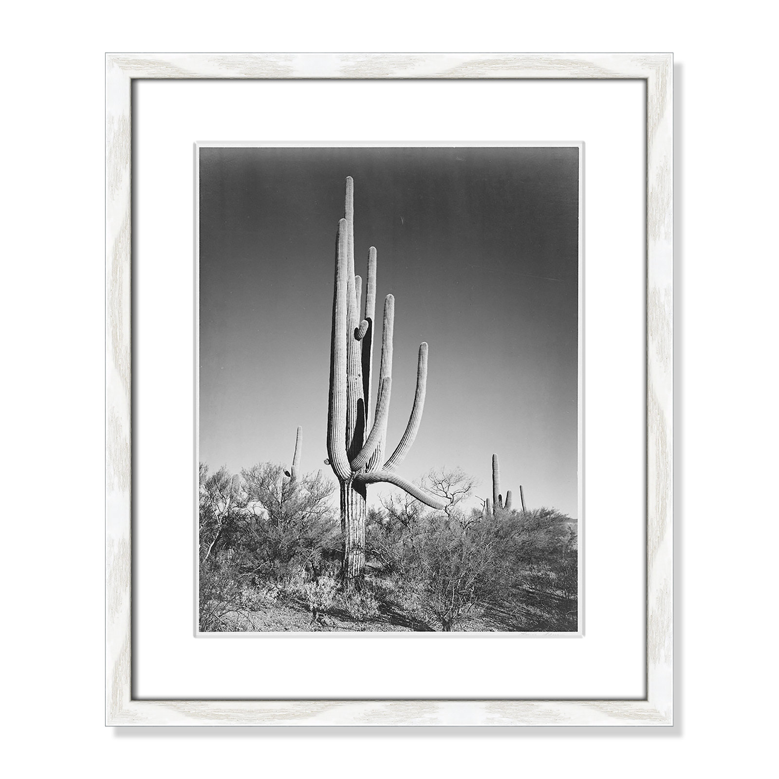 Saguaro National Monument Print by Ansel Adams, 19" H x 16" W x 0.75" D, White