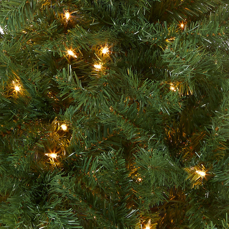 4ft. Kincaid Spruce Tree, Clear Lights