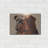" Bulldog " by Thomas Fluharty