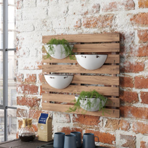 Jetton 4-Piece Wall Planter Set
