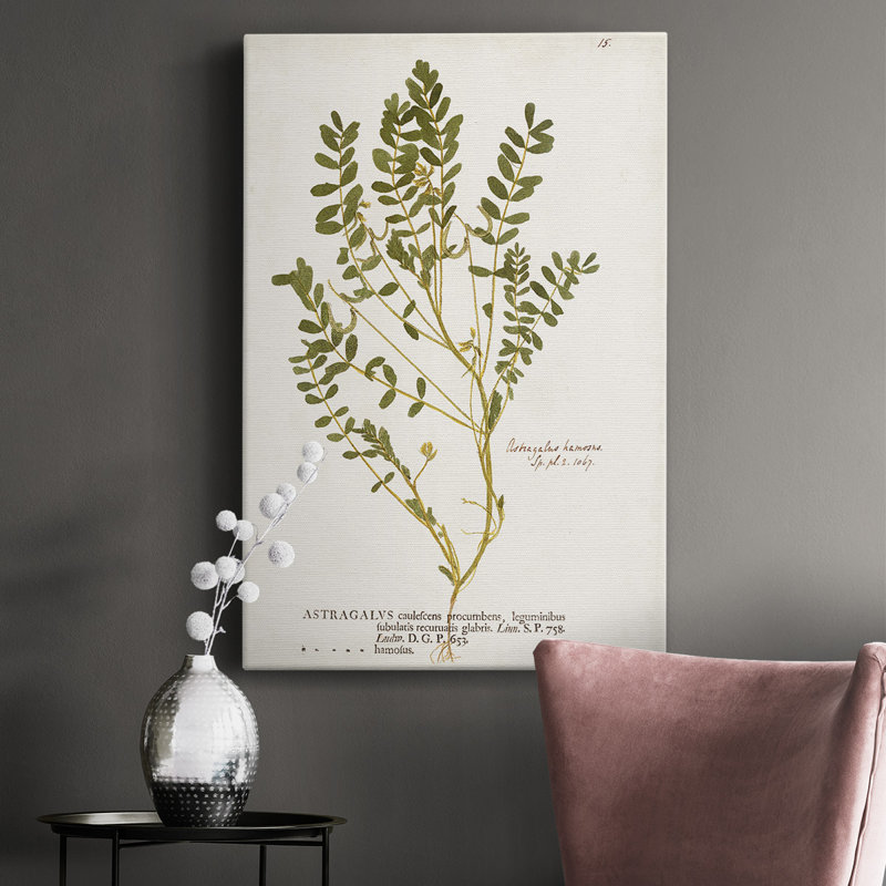 " Nature Printed Ferns X ", 12" W  x 18" H