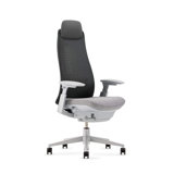 Haworth Fern Mesh Task Chair