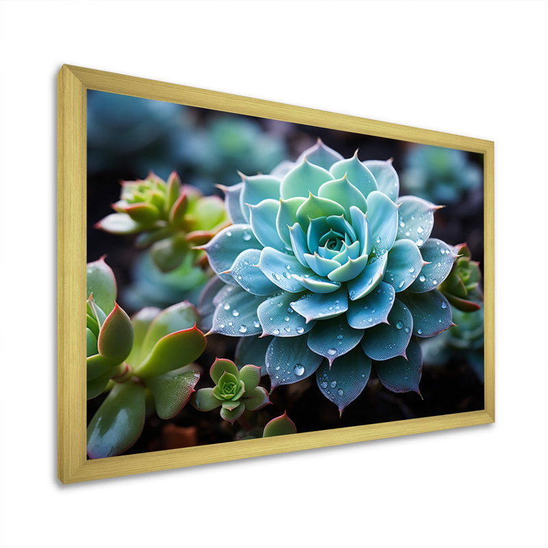 Bleu succulent serein, H 12 po x l 20 po x P 1 po, Encadrement doré