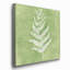 « forest ferns ii »-reproduction d’art sur toile tendue-1441085827