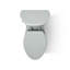 Adair 1.28 GPF Water Efficient Elongated One-Piece toilet (Seat Included)-10397012-65043899
