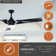 Makoti 52'' Ceiling Fan with LED Lights