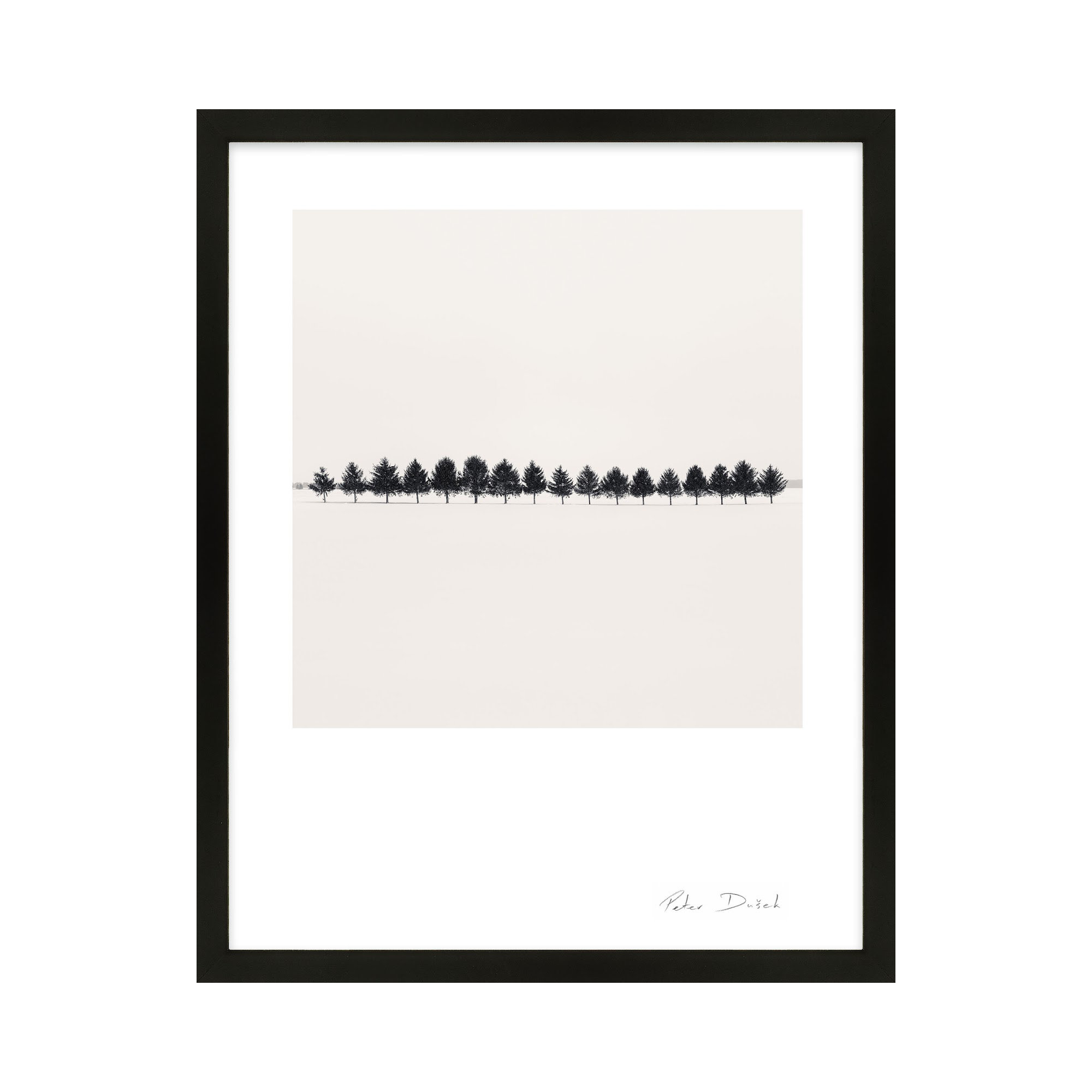 Seventeen Trees by Peter Dušek, Black, 25" H x 20" W x 1.25" D