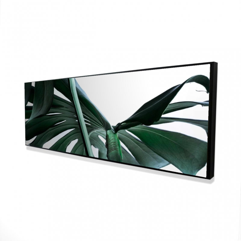 Monstera Deliciosa, reproduction sur toile