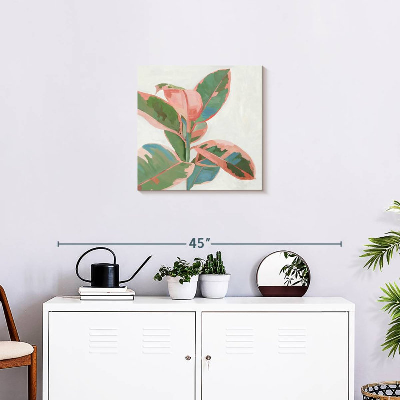 Harnek rose ficus I