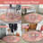 Arnaldo Oriental Rug