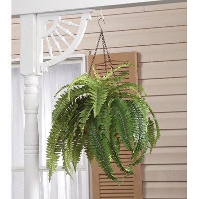 OakRidge Fully Assembled Fern Hanging Basket