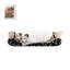 Grattoir Engvall-1336709245