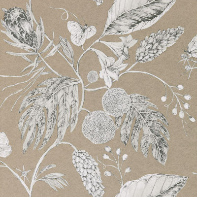 Amborella 10.05cm x 68.6cm Ivory Wallpaper Roll