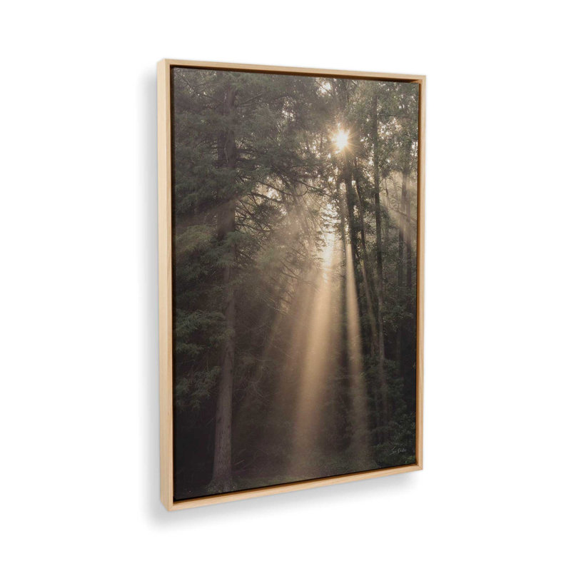 «Enlighten Your Soul» par Lori Deiter, reproduction d'art, 20 W x 30 H, Tan, Framed Canvas
