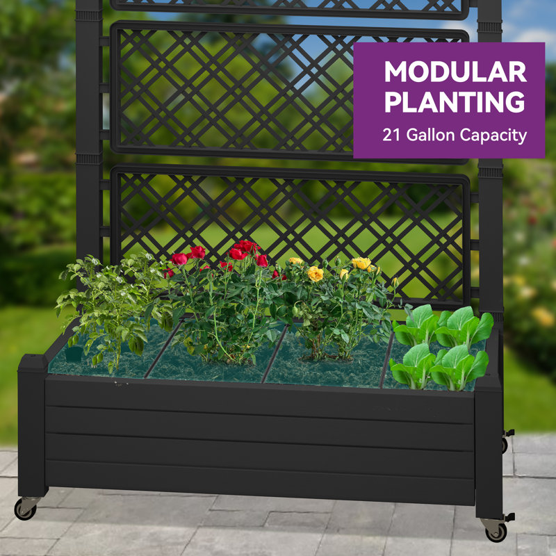 Alajandro 43.3'' W x  61''H Resin Raised Garden Bed, Black