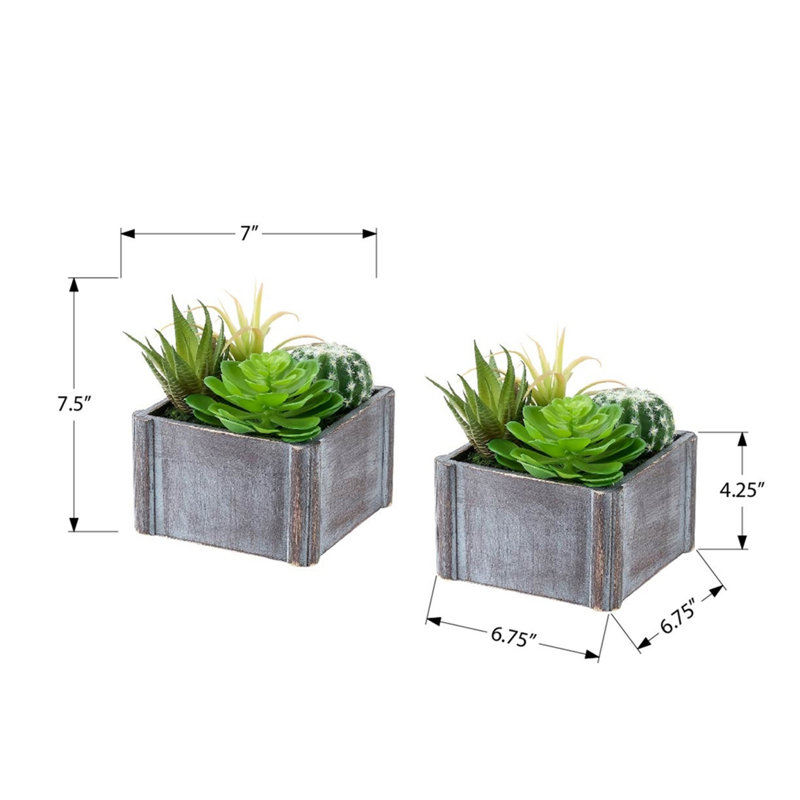 Ensemble de 2 plantes succulentes artificielles, 20 cm de hauteur, fausse verdure de table, pots en bois gris, décoration intérieure moderne